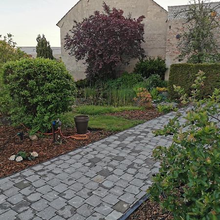 קוטבוס Fewo Rohleder De Mit 130M2 Und Garten Fuer 6Pers Mit 2 Bad מראה חיצוני תמונה