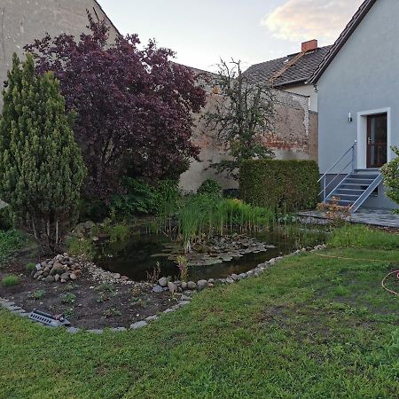 קוטבוס Fewo Rohleder De Mit 130M2 Und Garten Fuer 6Pers Mit 2 Bad מראה חיצוני תמונה