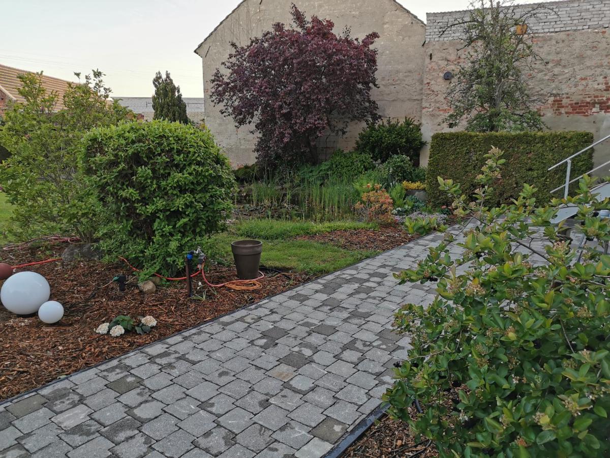 קוטבוס Fewo Rohleder De Mit 130M2 Und Garten Fuer 6Pers Mit 2 Bad מראה חיצוני תמונה