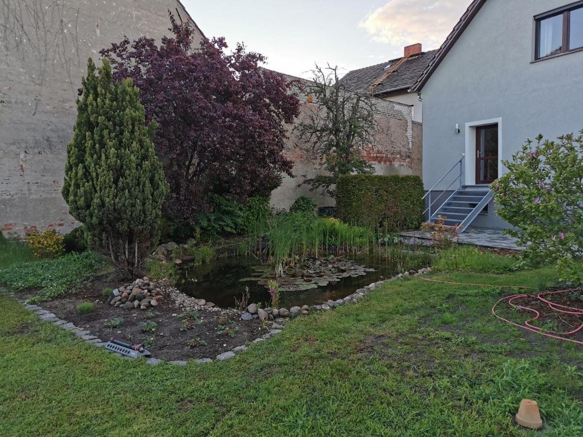 קוטבוס Fewo Rohleder De Mit 130M2 Und Garten Fuer 6Pers Mit 2 Bad מראה חיצוני תמונה